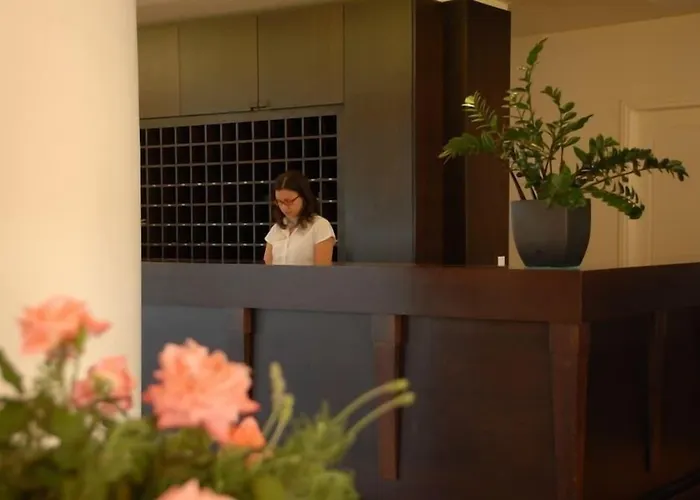 Bitzaro Grande Hotel & Suites