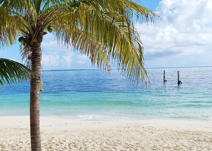 Hotel Maya Caribe Faranda Cancun