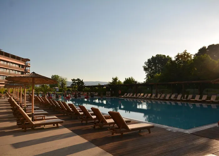 Sunny Beach Club - Adults Only #Youthfulvibes